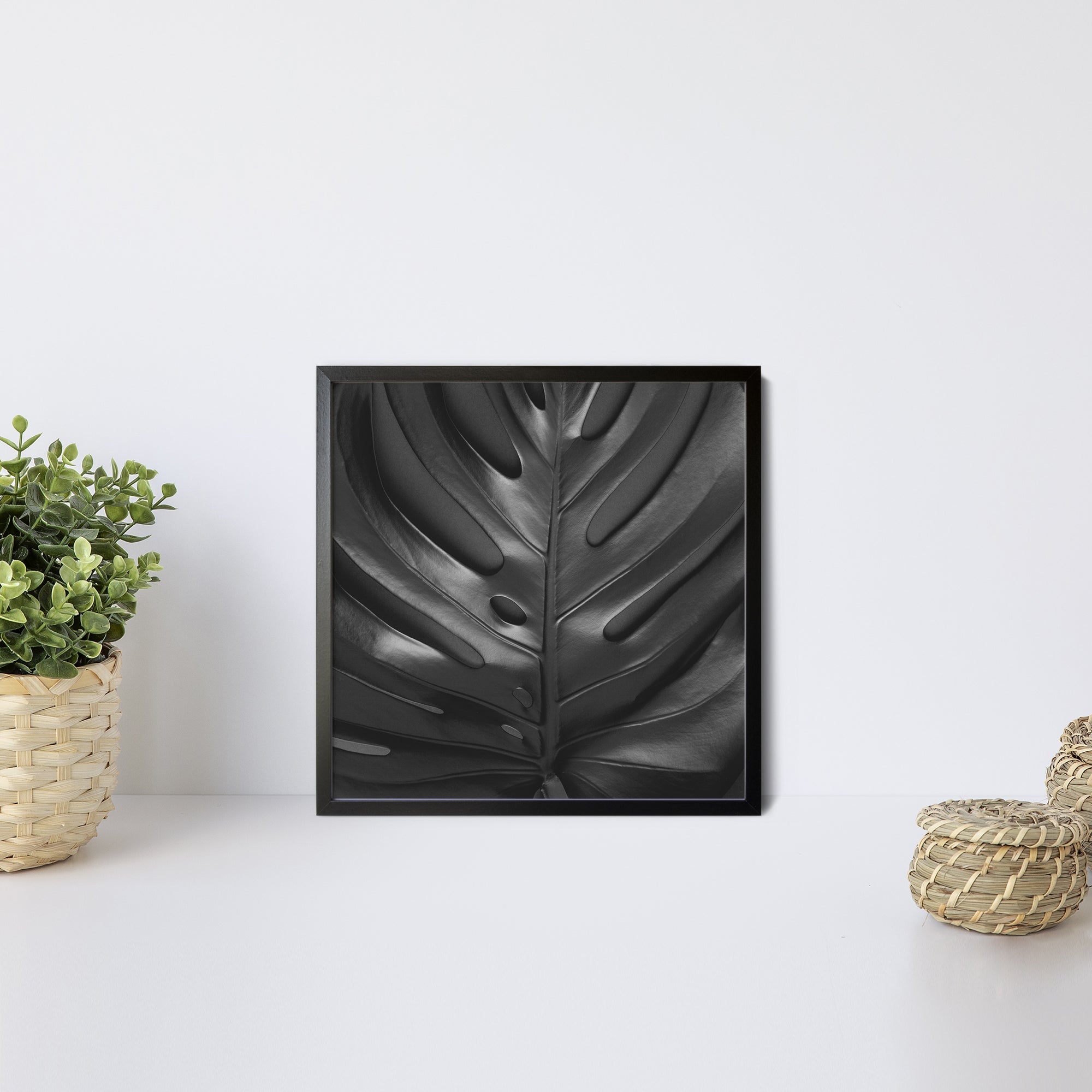 Foto obraz w ramie - Koncept, czarna monstera max (czarny) - Gallart.pl