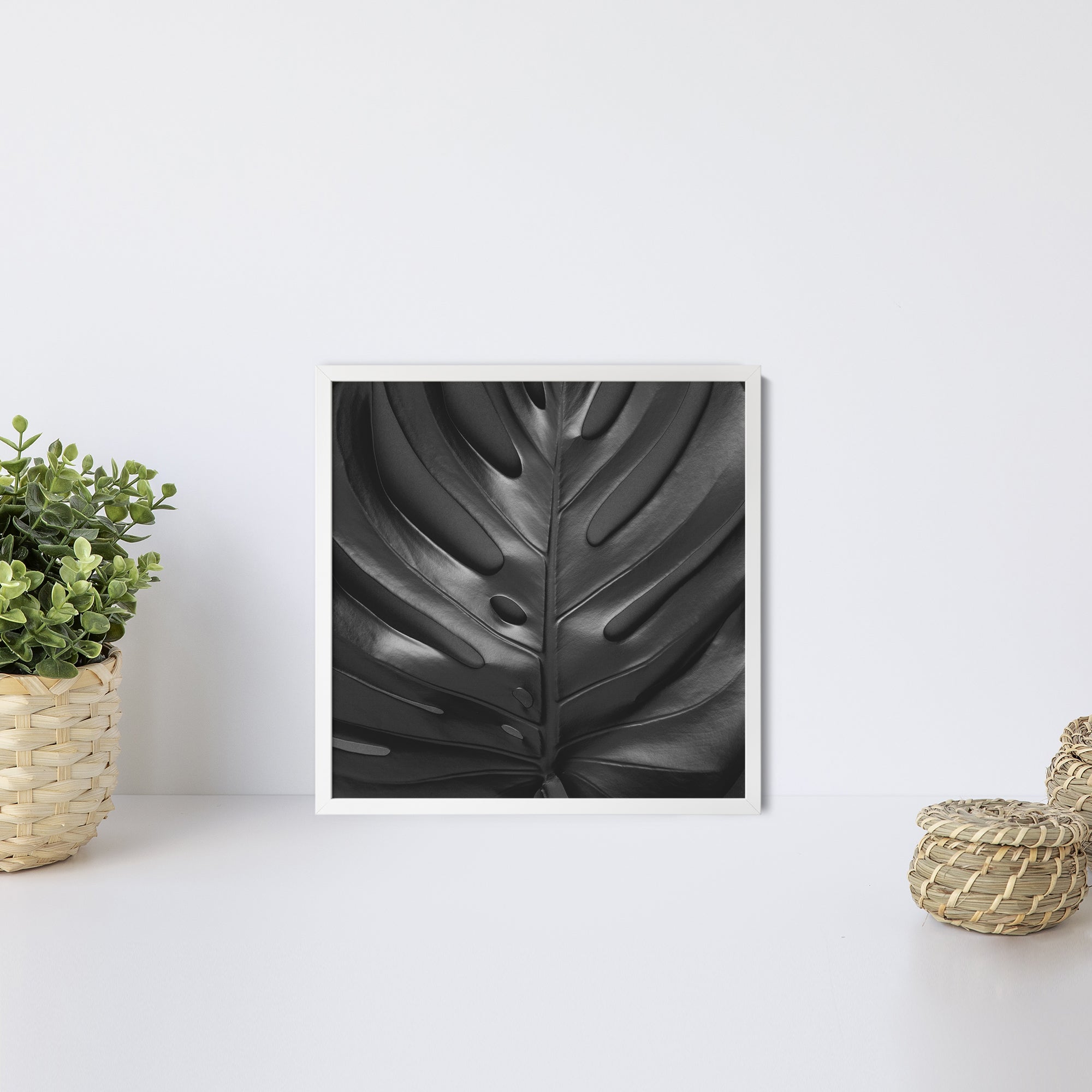 Foto obraz w ramie - Koncept, czarna monstera max (czarny) - Gallart.pl
